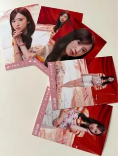 渋*フ様 乃木坂46 菅原咲月 ビリヤニ 個別 5枚セット コンプ 生写真