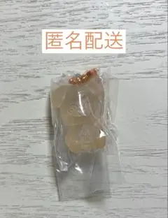 Stray Kids SKZOO グミ&チャーム/パピーム・スンミン