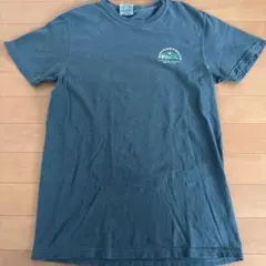 COMFORT COLORS Tシャツ