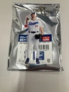 中日ドラゴンズ 藤嶋健人 54 レイヤーアクリルキーホルダー - メルカリ