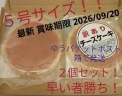 大阪前田製菓 訳ありチーズケーキ(５号)２個セット　ゆうパケットポスト発送のサムネイル