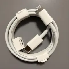 Lightning to type-c ケーブル iPhone付属品