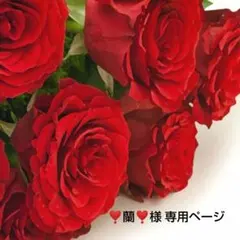 ❣️蘭❣️さま【ご専用ページ】ドライフラワーお纏め（小花MIX 紫陽花ヘッド）