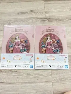 一番くじ　ディズニー プリンセス　オーロラ姫　G賞　クリアファイル 2セット