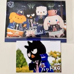 ハーモニーランド　M's IDOL ブロマイド2枚セット　バッドばつ丸