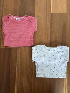 Item thumbnail for item 4b033c4f-c55a-4495-a113-59c10553b069