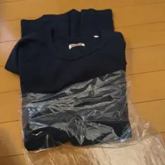 ハリウッドランチマーケットストレッチフライス長袖Tシャツ未使用品 Hロゴシルバー