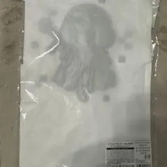 ドラゴンクエスト the DIVE ホミータ オーロラTシャツ L 新品未開封