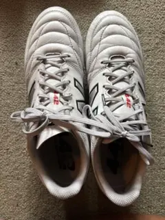 Item thumbnail for item 0dfe9d01-85db-4dd0-ac79-78c9972a6a25