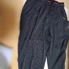 Item thumbnail for item f21e25da-93f8-46f6-886c-e3f987a37860