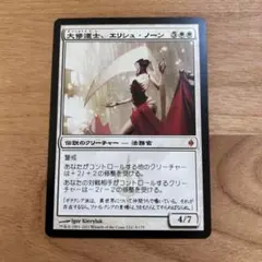 MTG エリシュ・ノーン　スリーブ 2026年最新】スリーブ エリシュ・ノーンの人気アイテム - メルカリ