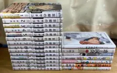 ビッグコミック系漫画まとめ　39冊