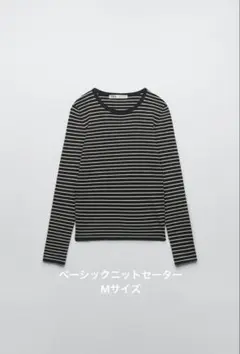 ZARA ボーダーニット ベーシックニットセーター