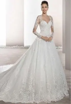 ウェディングドレス　ベールつき　美品　pronovias Demetriosのサムネイル