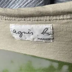 agnis b. グリーンとホワイトストライプ長袖Tシャツ