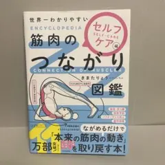 世界一わかりやすい 筋肉のつながり図鑑