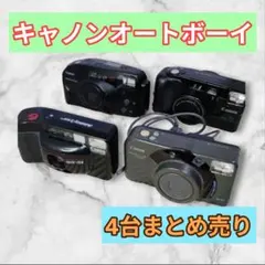 Item thumbnail for item 73824f78-c427-4772-82cf-ea414fe063f3