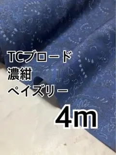 4m 出品限り特価　ペイズリー　TCブロード ハギレ　生地