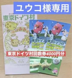 アトラクション回数券②　　　　　　　　　　　　東京ドイツ村　未使用４セット分のサムネイル