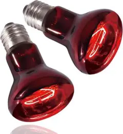 Item thumbnail for item 90d40630-2de8-46bc-8d6c-a1d62dd3ee09