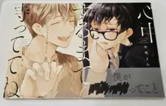 市川けい ボーイズラブ