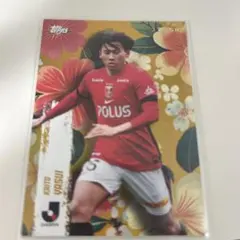 Item thumbnail for item 525c3f21-62a2-4e79-a120-2149014953c3