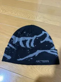 ARC'TERYXビーニー　深水光太 即日発送 ARC'TERYX ニット帽 ours 深水光太着用 ビーニー - メルカリ