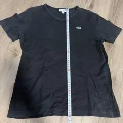 LACOSTE Vネック Tシャツ ブラック