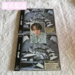 straykids GIANT 会場限定 京セラ リノ トレカ＋CD