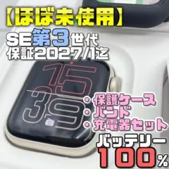 保証有【ほぼ未使用】BT100% SE3 カバー＋バンド＋充電器 1905