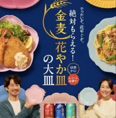 金麦 絶対もらえる！花やか皿 大皿3枚(96点)のサムネイル