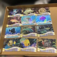 Item thumbnail for item 469ef7a1-ec48-4797-b647-474f81c98520