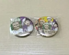 Dr.stone バーベキュー　ぷちくじ　石神千空　あさぎりゲン　缶バッジ