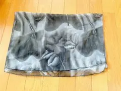 Item thumbnail for item ccd0487d-07ae-44e6-b4bf-7420858287c9