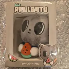 ppulbatu プルバトゥ　ダゴニャン　スイカ　summer together