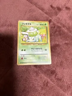 旧裏　フシギダネ