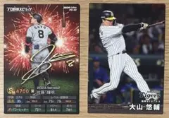 プロ野球チップス/カード2枚セット