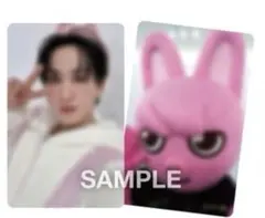 Stray Kids スキズ タワレコ特典 トレカ チャンビン 4形態