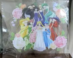 美少女戦士セーラームーン アクリルスタンド　　1番くじ