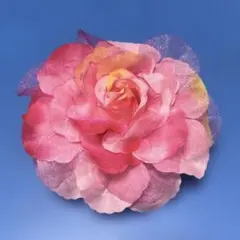 Item thumbnail for item 2ed09f59-d23b-4fe4-a680-f7c2f4dd1f19