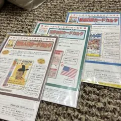 新学社 学習カードシリーズ 3種セット