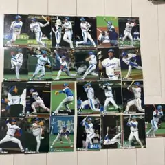 プロ野球チップス　西武ライオンズ　トレーディングカード