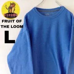 USA古着 FRUIT OF THE LOOM　スウェットL　ブルー