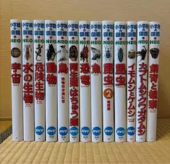 【すしろー様専用】小学館の図鑑NEO 13冊セット　DVD付き　美品