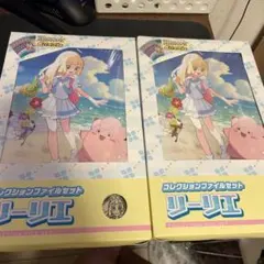 新品未開封】リーリエ•N コレクションファイルセット - メルカリ