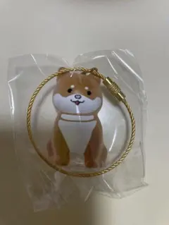 わんこのタイムカプセル　まめ