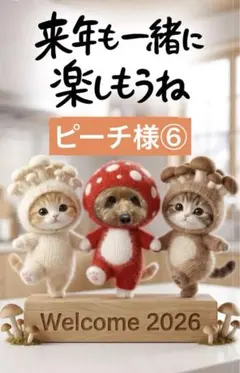 ピーチ様専用ページ⑥