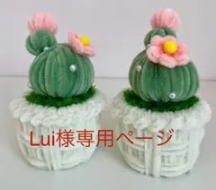 lui様 リクエスト 2点 まとめ商品