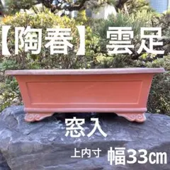 2026年最新】盆栽 鉢 落款の人気アイテム - メルカリ