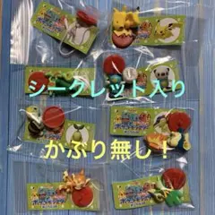 ポケモンチョコエッグ旅立ちの3匹8体セット　シークレット付き！